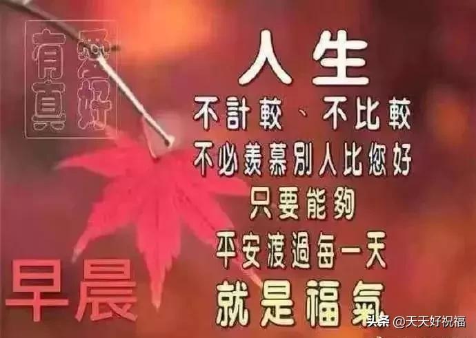最暖心的朋友圈问候语图片,朋友圈最美的祝福句子图片