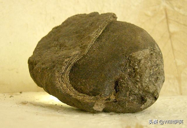 人类最早的避孕措施,古老避孕药有哪些