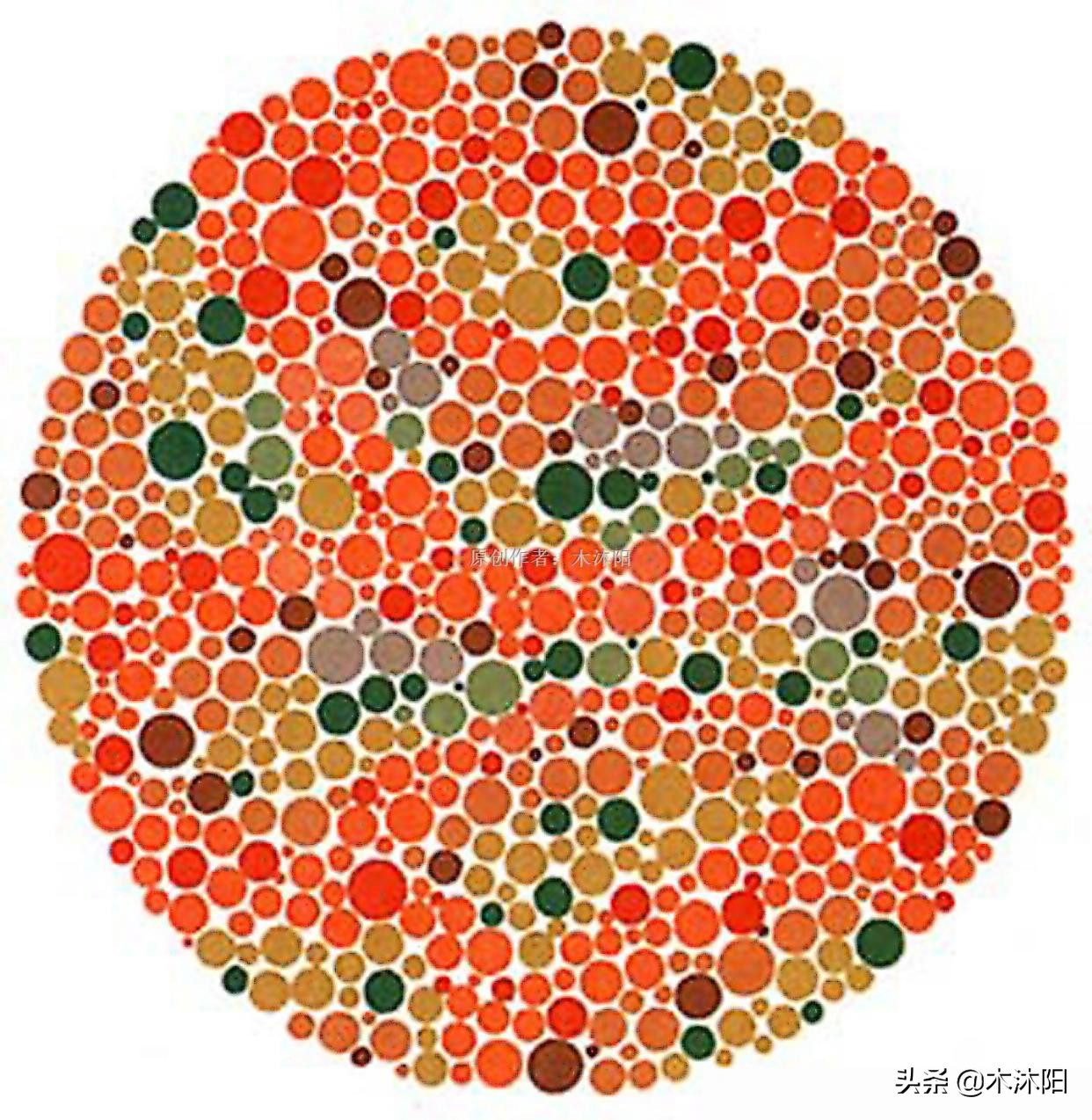 最新版色觉检测图，考驾照必备，这4张图若看错，驾照可能考不了