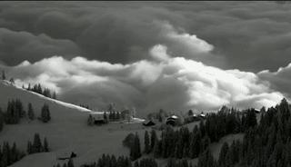 测你灵魂是什么样子,测试你灵魂干净吗