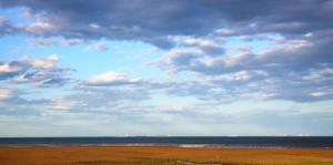 秦皇岛市简介,秦皇岛概况讲解