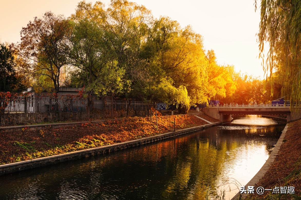 松下16-35f4,松下16-35f4和20-60镜头对比