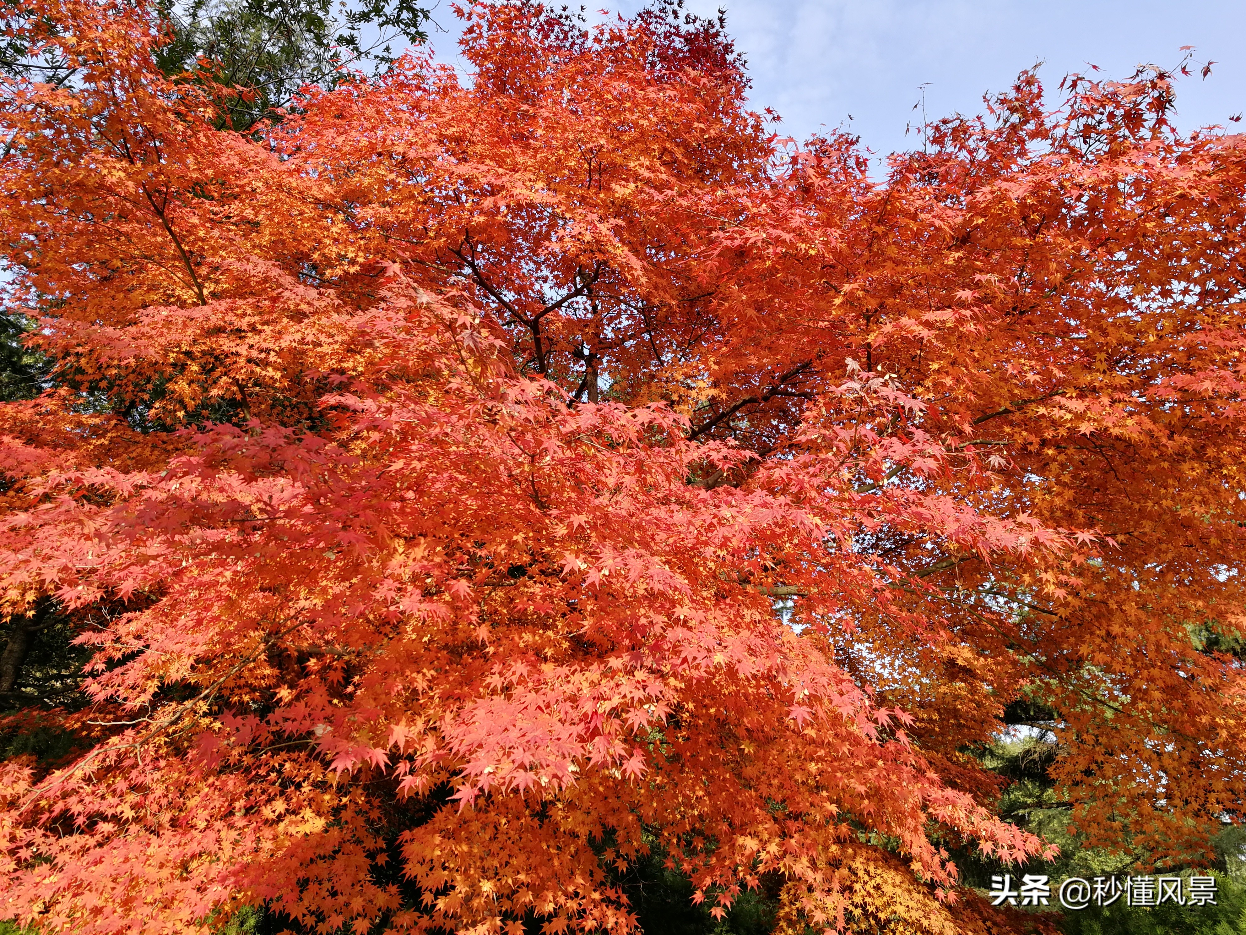 深秋武汉夜晚美景,秋日里的武汉