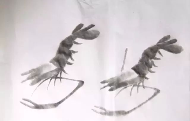 怎样画虾教学视频,铅笔画虾的步骤和方法