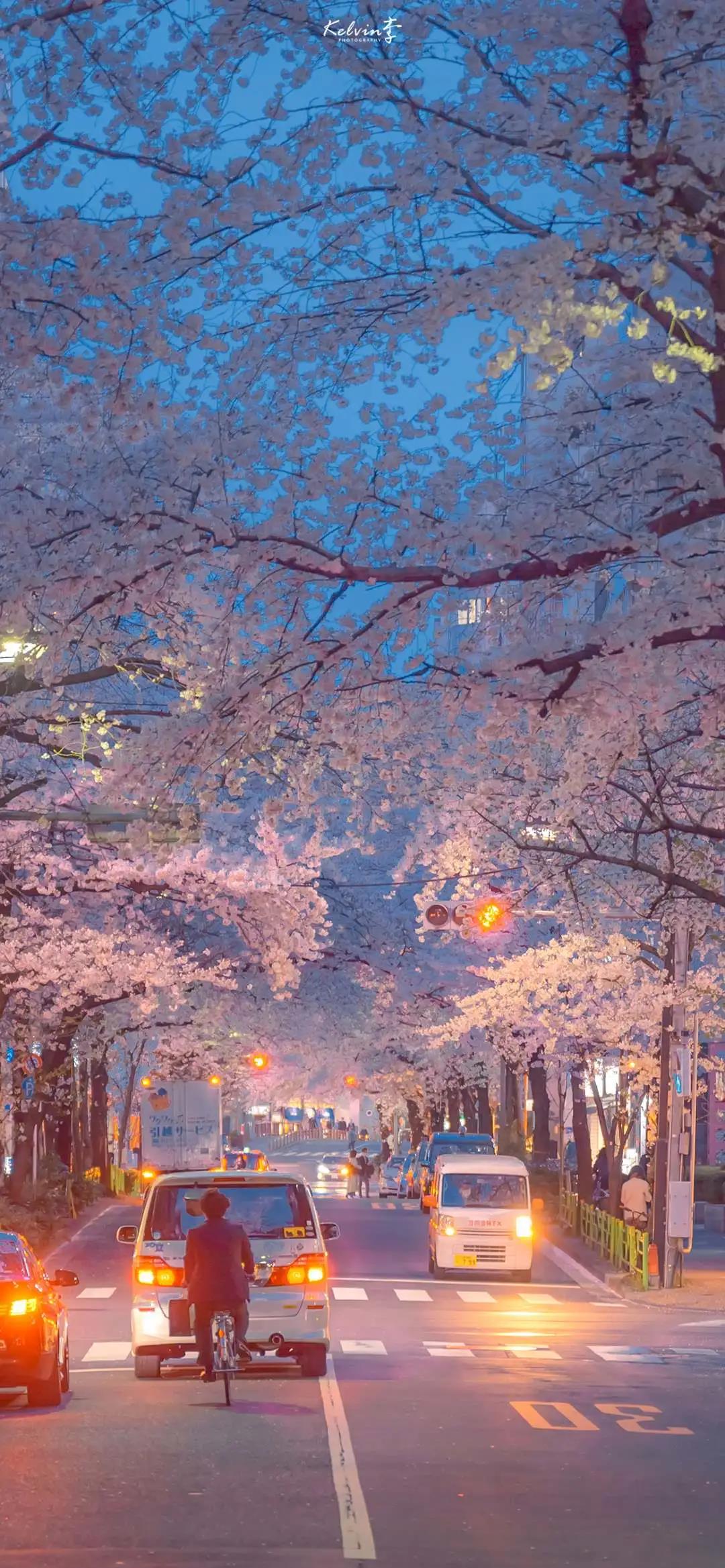 8k超清蓝光壁纸风景壁纸,壁纸超清全面屏山水风景壁纸