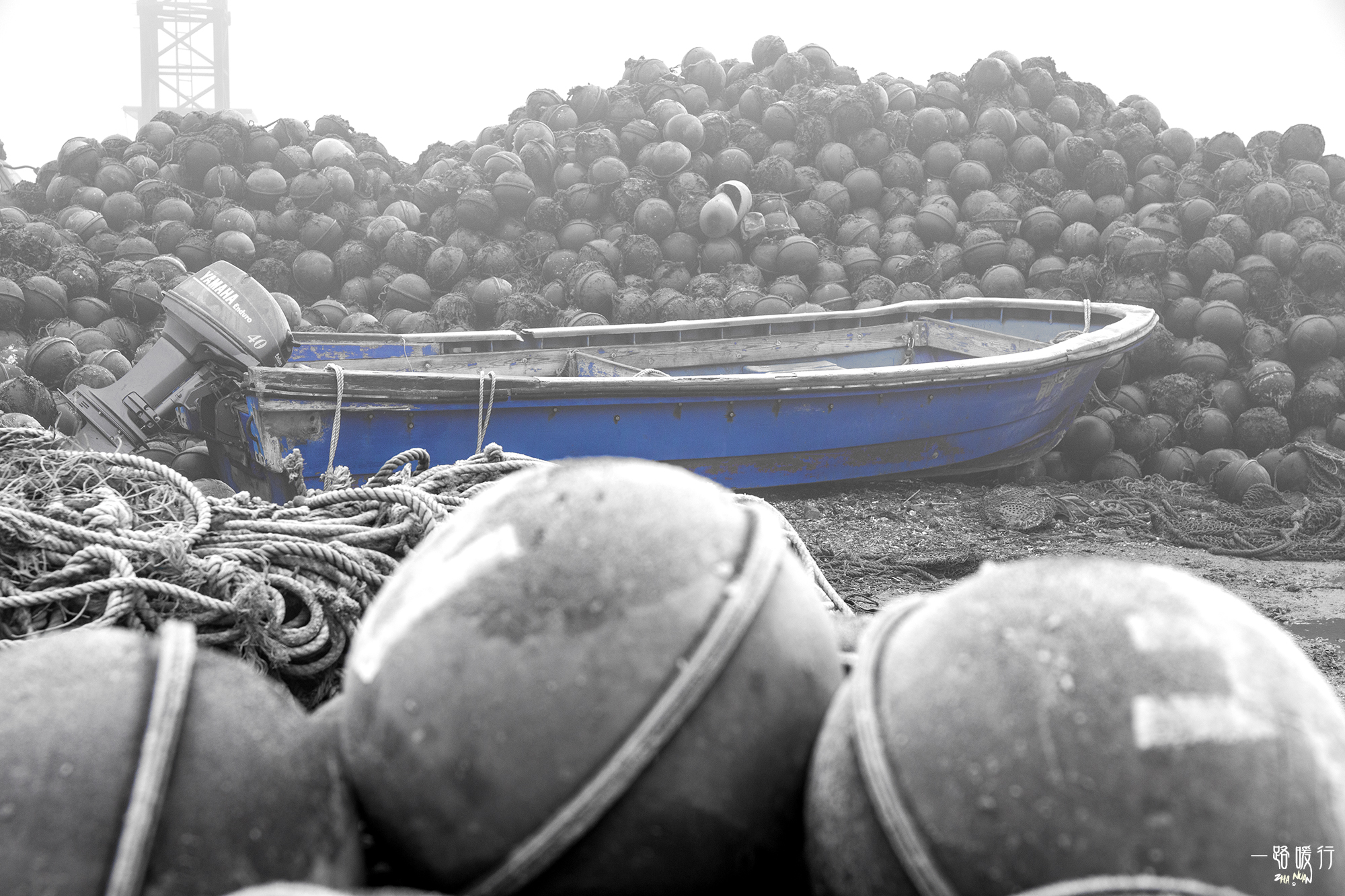 乳山为什么是长寿之乡,威海乳山市的海景房