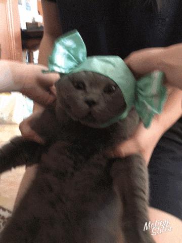 秋冬棕绿色,厌倦了红黄棕不妨来款高级感发色