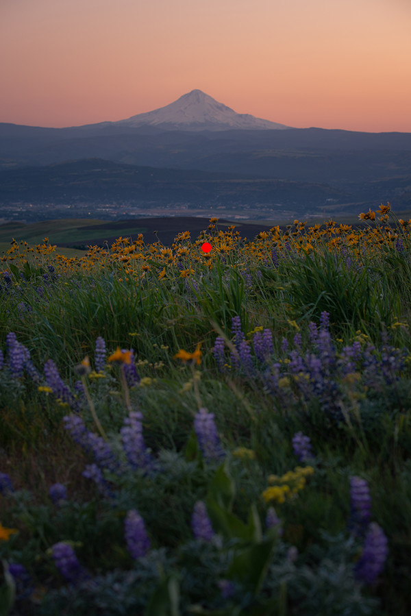 摄影ps景深合成的方法,ps景深合成焦点堆叠