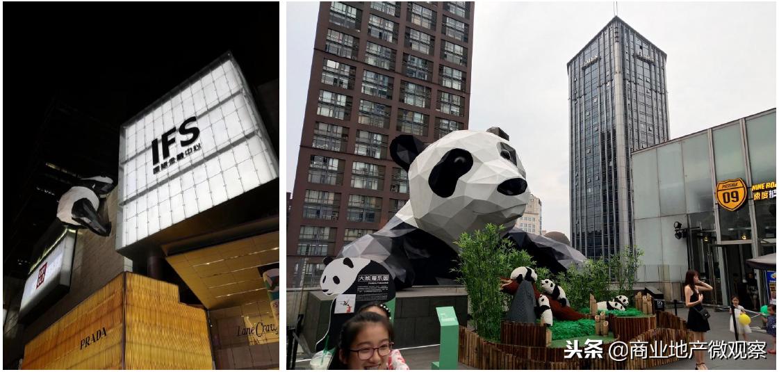 在成都看ifs熊猫,成都ifs上的爬墙大熊猫