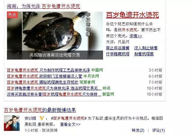 玳瑁被处死,玳瑁为什么被砍头