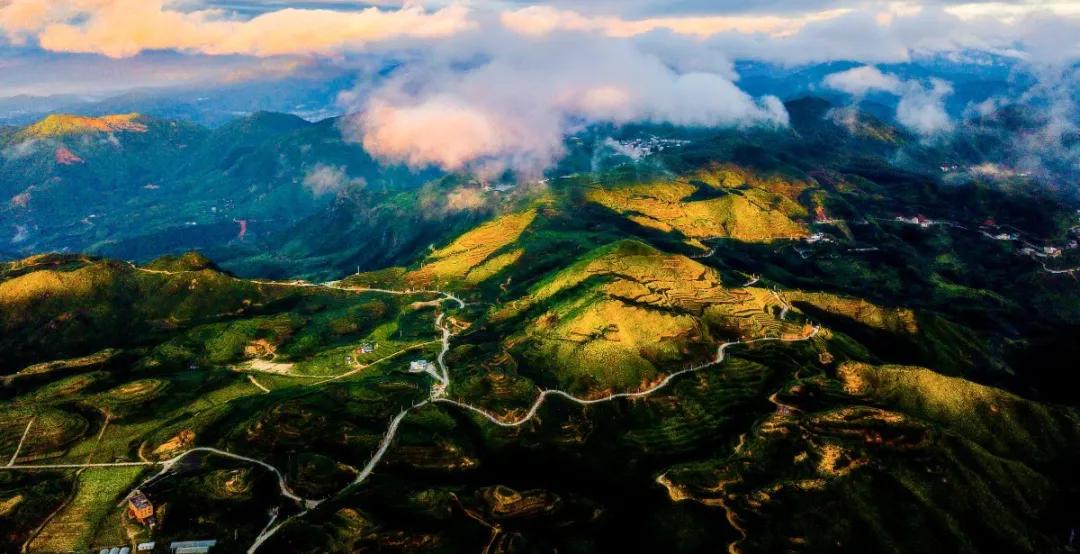 春日茗茶似神仙！厦门人究竟有多好这一口