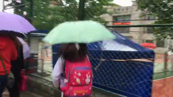 风雨中,“神兽”们返校了