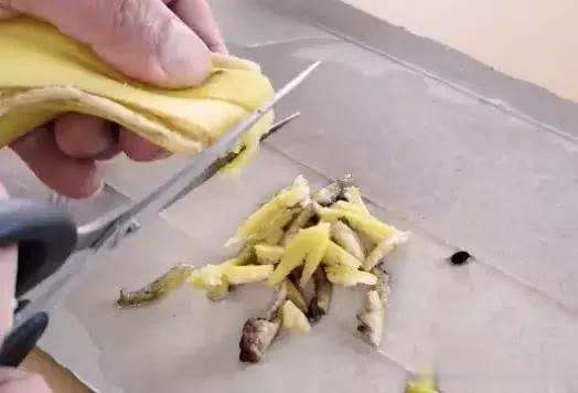 消灭蟑螂小妙招土豆,消灭蟑螂有妙招一碗水轻松搞定