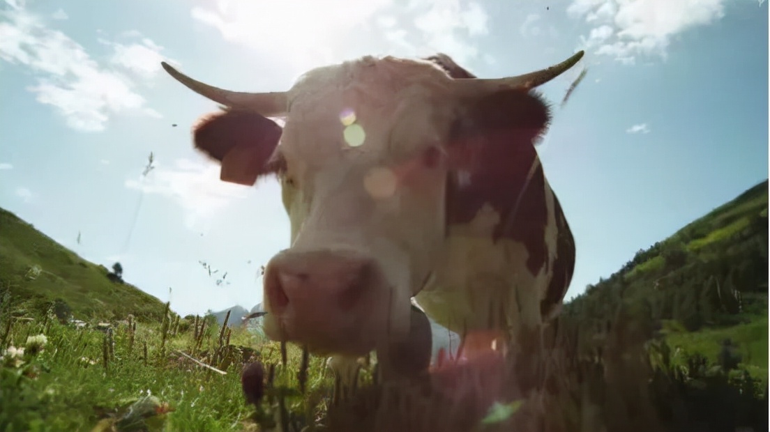 百特国际业绩大全,百特喜抛饼大赛视频