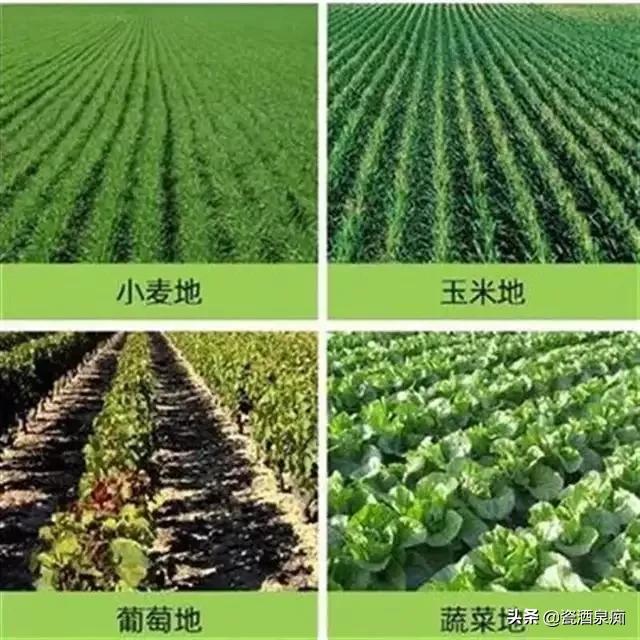 东北农民为什么种地不赚钱,农村种植业的现状及存在的问题