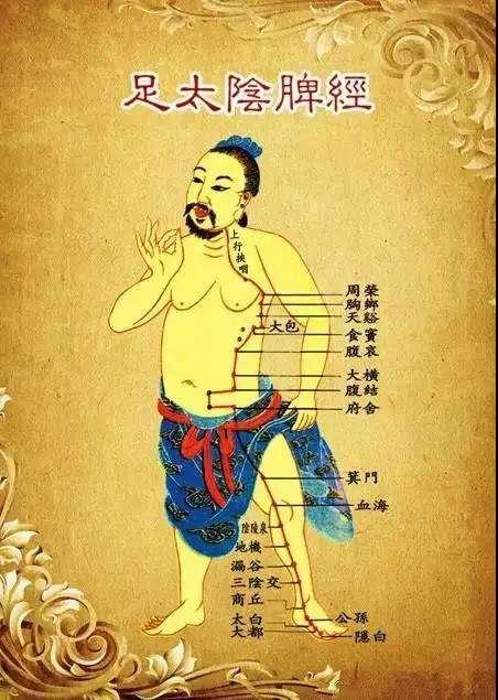 经络穴位记忆法视频,经络穴位在治疗过程的记忆和运用