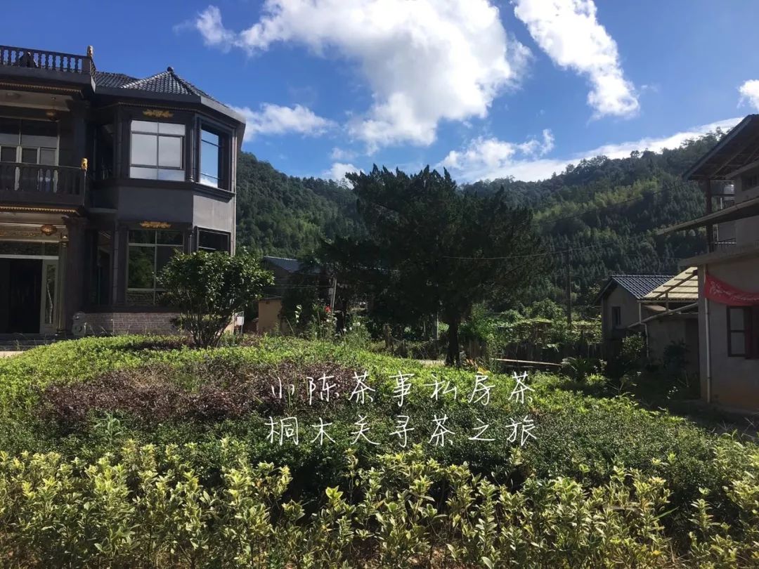 几年的红茶还能喝吗,20多年的红茶还能喝吗