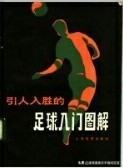 所有足球技巧图解,足球精彩入门瞬间