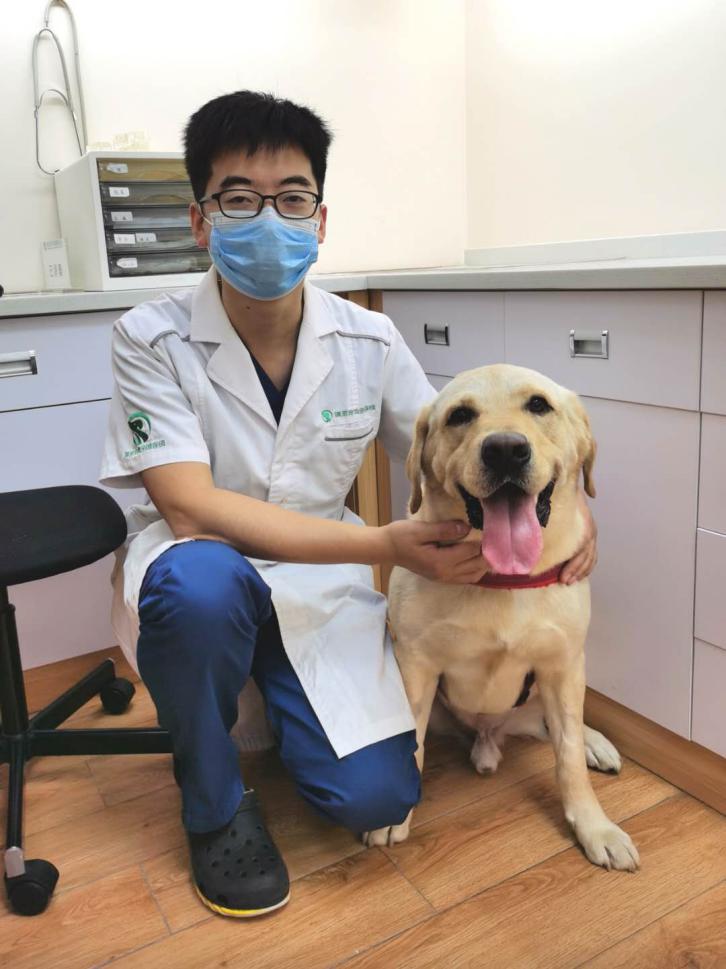 瑞派宠物医院治疗事故怎么处理,瑞派宠物医院病历记录