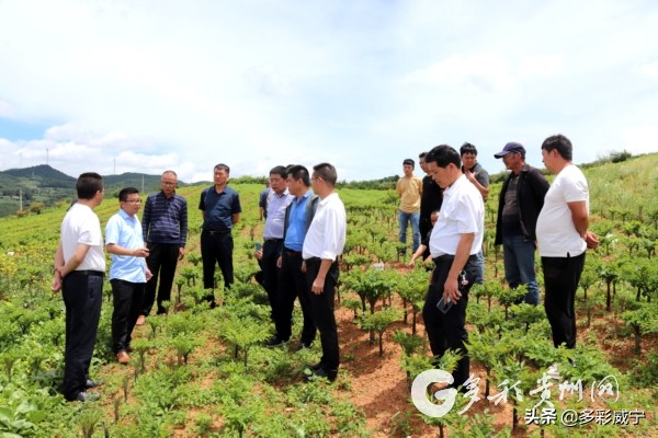 贵州省生物技术研究所,贵州生物技术研究所