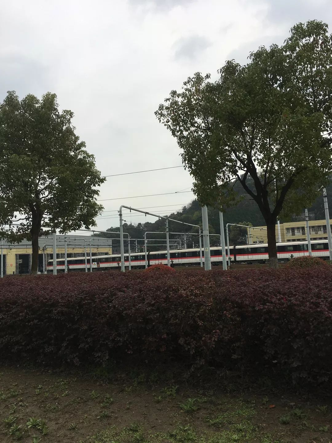 悦虹湾值不值得买,悦虹湾降价