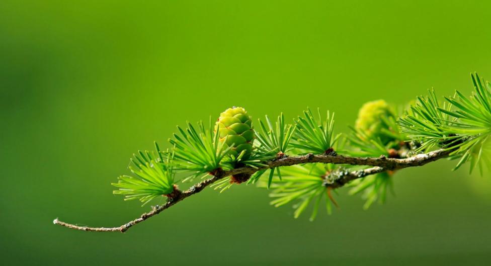 难相处的婆婆调解,有个高情商的婆婆如何相处