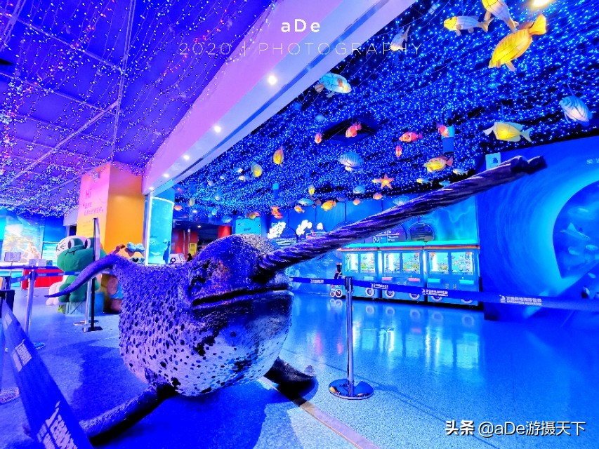 广州正佳广场哪个馆最值得玩,广州值得打卡的地方正佳广场