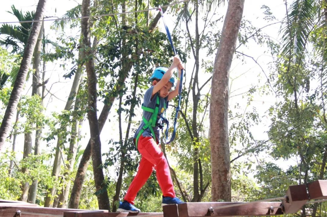 青塘会员卡正式上线，粉丝福利送不停！！！