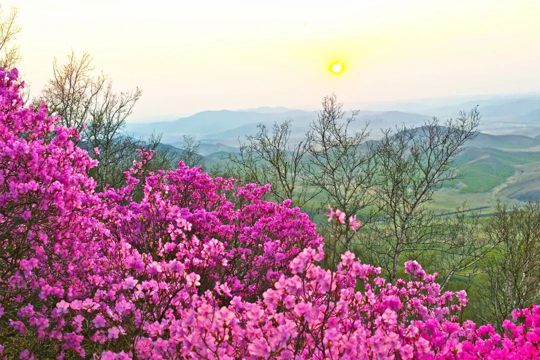 内蒙古通辽扎鲁特旗5条自驾游线路和景点攻略