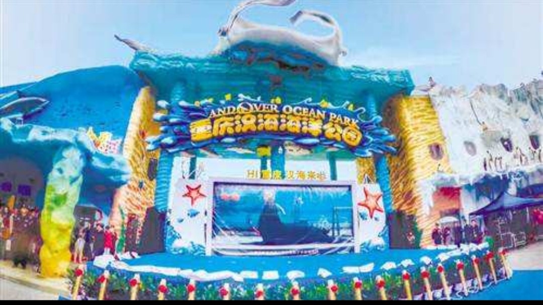 重庆龙洲湾板块,重庆板块潜力股