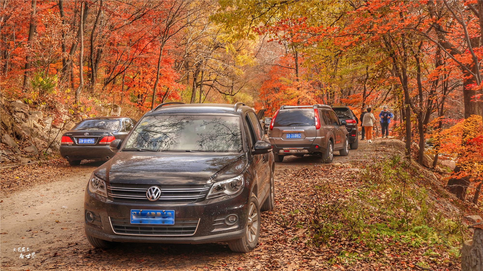 本溪关门山看枫叶最佳游览路线,本溪红叶层林尽染自驾游攻略