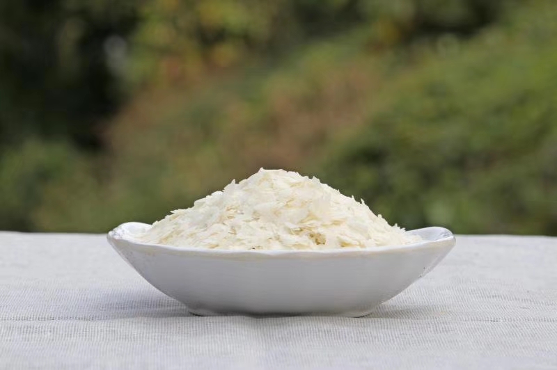 手竿钓鱼的灵魂,鱼饵深海元素