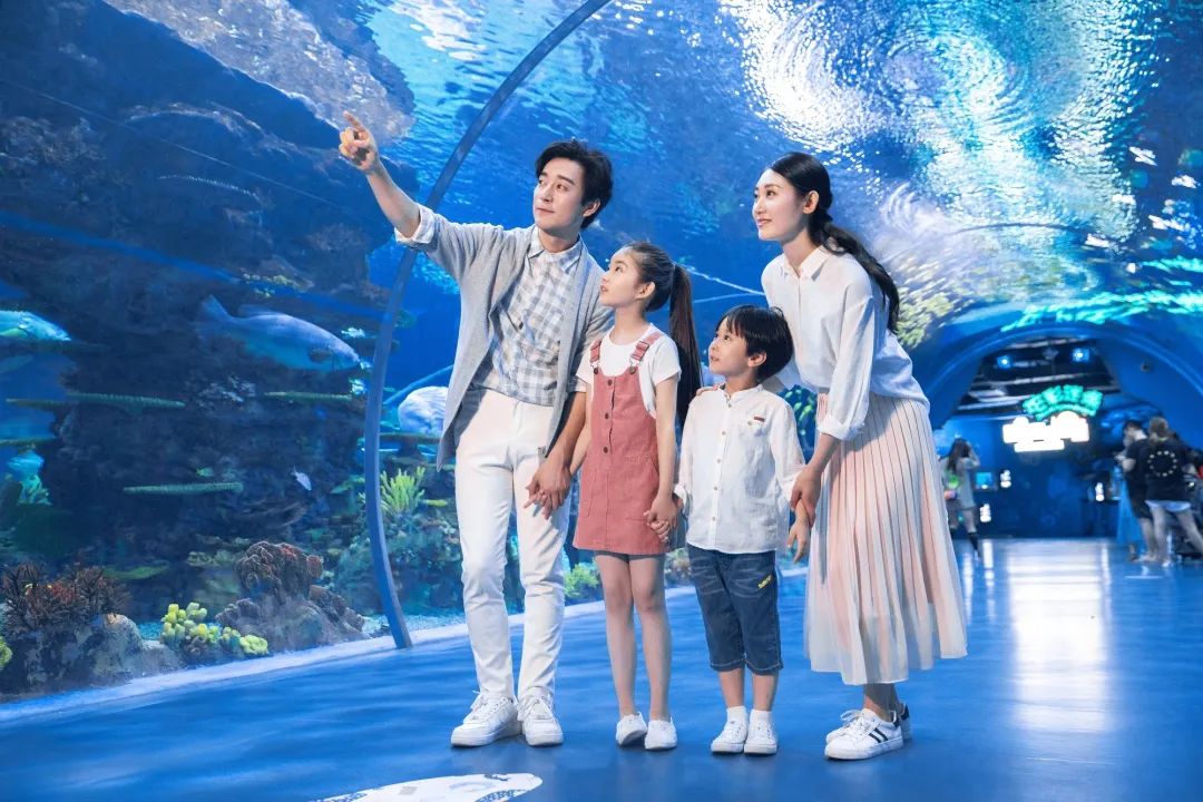 深藏在森林之中的温泉酒店,隐藏在森林里的豪华酒店