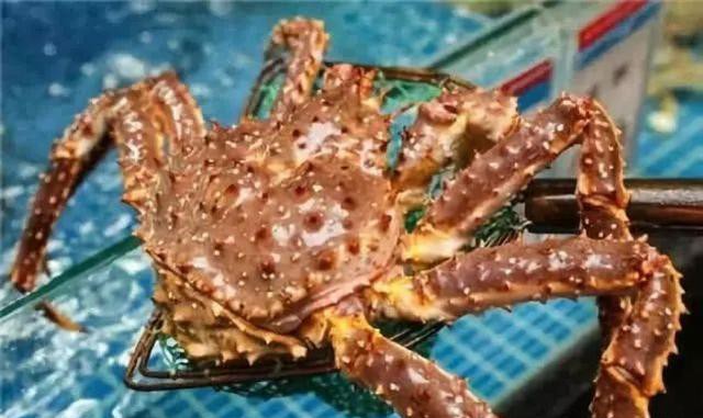 哪种海鲜的味道最鲜美,世界上最鲜美的海鲜