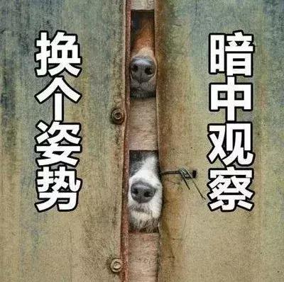 血橙面膜有没有问题,韩国血橙面膜到底是真是假