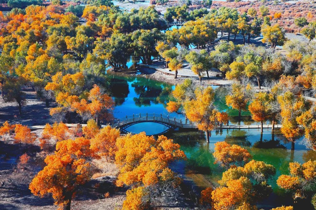 额济纳旗住宿一般多少钱,国庆额济纳旗胡杨林攻略