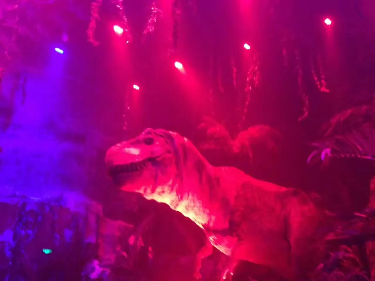 广州长隆野生动物世界游记300字,广州长隆野生动物园游记