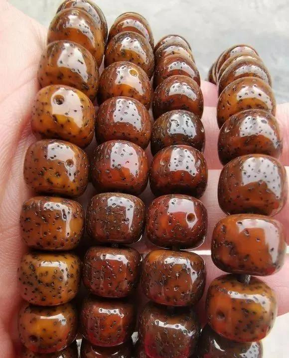 星月菩提阴皮是什么意思,星月菩提的阴皮怎么形成的