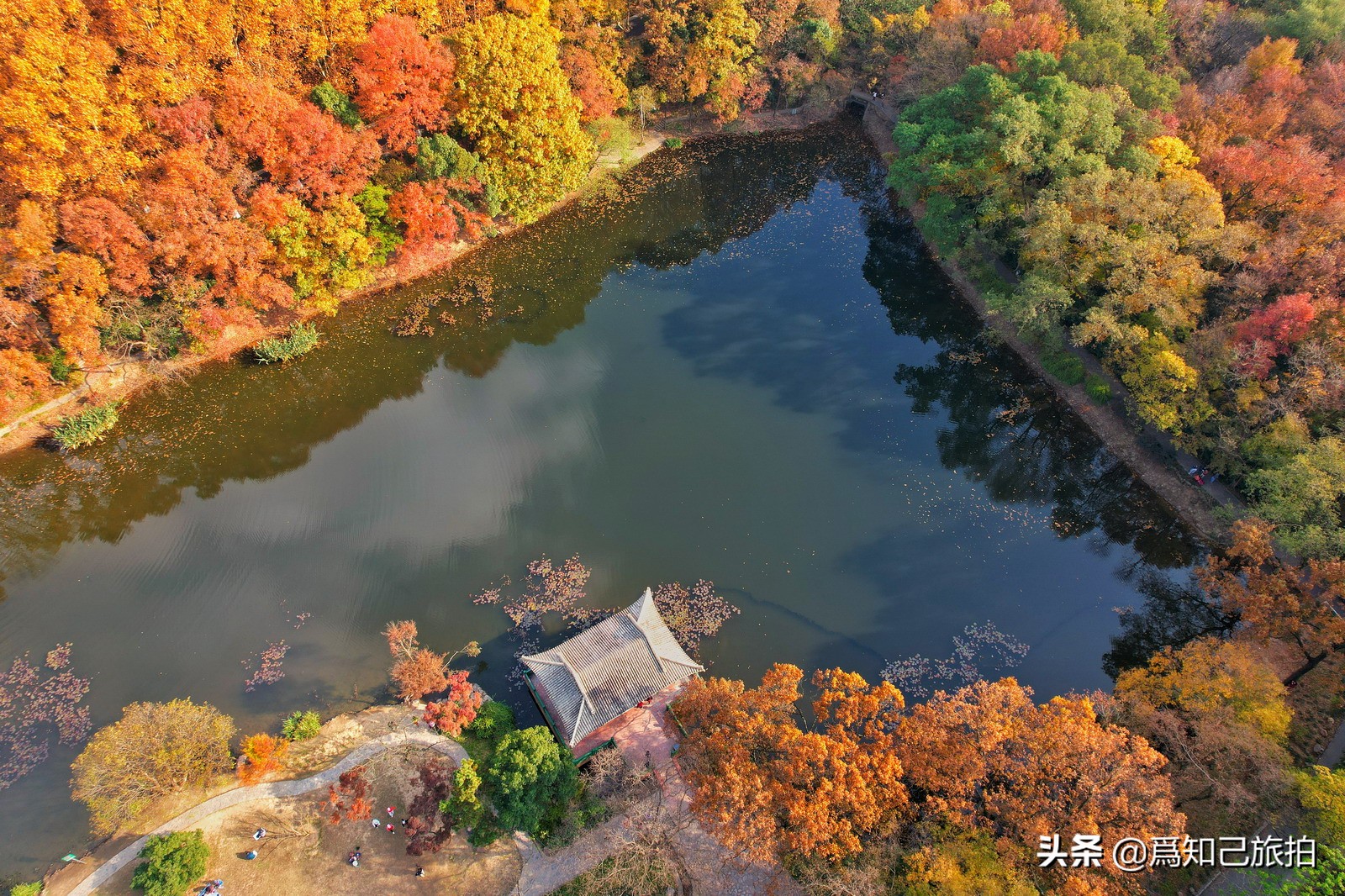 美在金陵文艺大咖秀,美在金陵梁梅