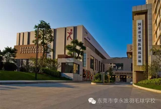 青少儿体育培训机构哪家比较专业,儿童体育培训哪家专业