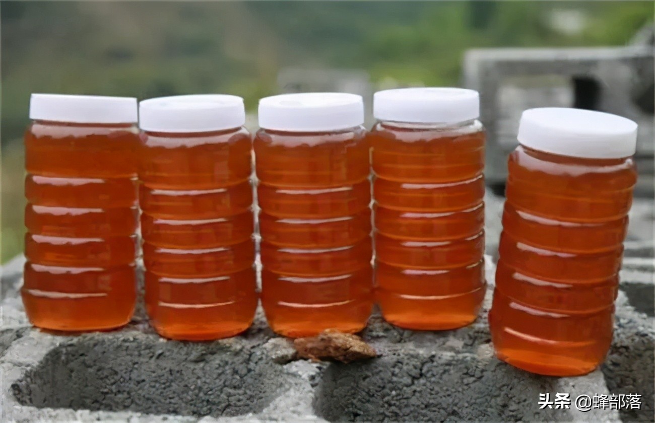 中华蜜蜂和意大利蜜蜂同区养,中国外来昆虫的危害及防治