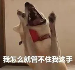 各种让人一看就想买东西的文案,姐妹朋友圈文案可爱沙雕