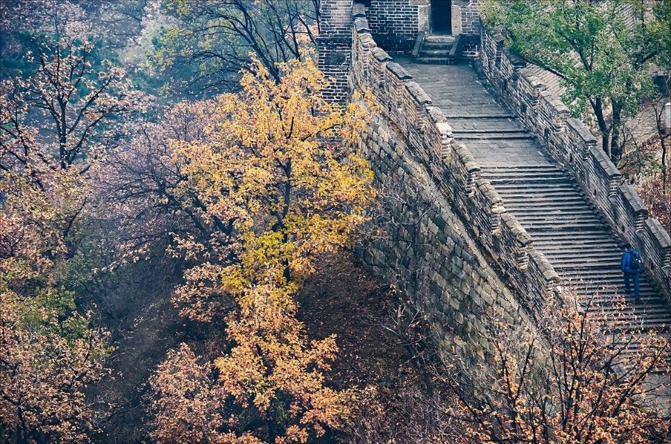 25句排比句用于作文绝对加分,排比句作文开头结尾摘抄大全