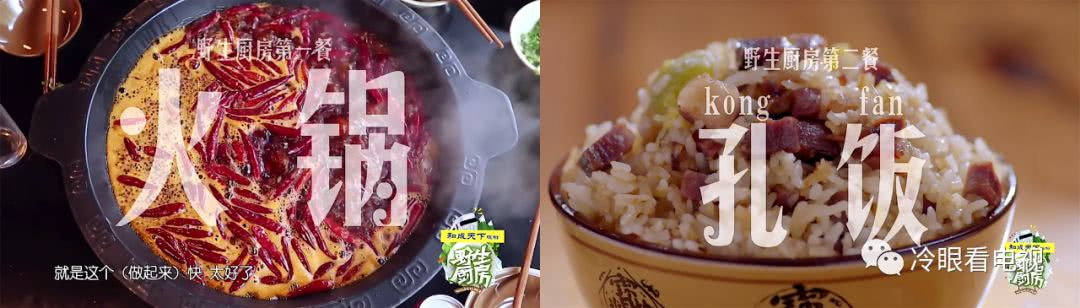 野生厨房深度解析,野生厨房都吃过哪些东西