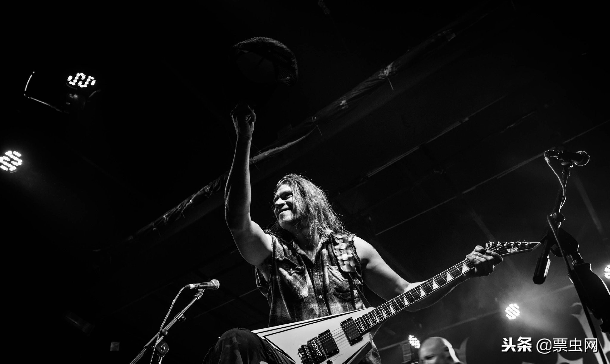 沼泽之王全集,沼泽之王kalmah