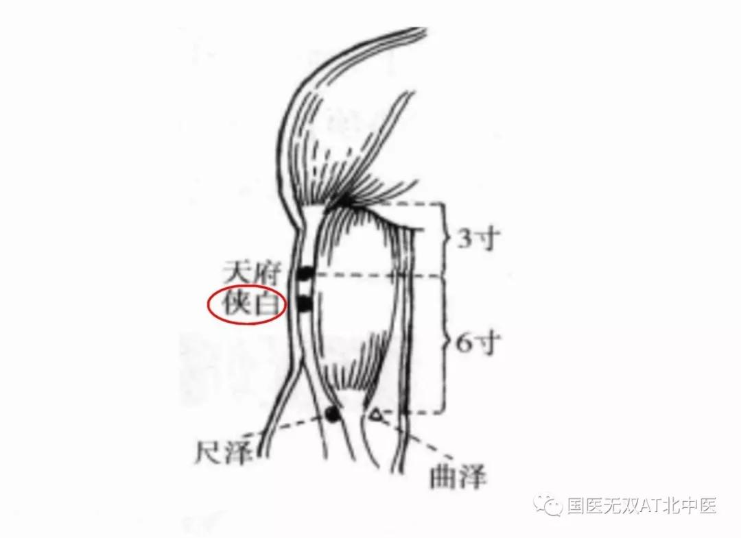 病毒当前不能慌穴位强肺助抵抗