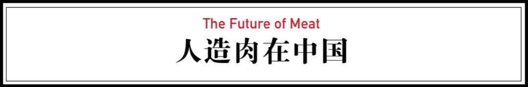 人造肉将来新消息,人造肉热潮来了