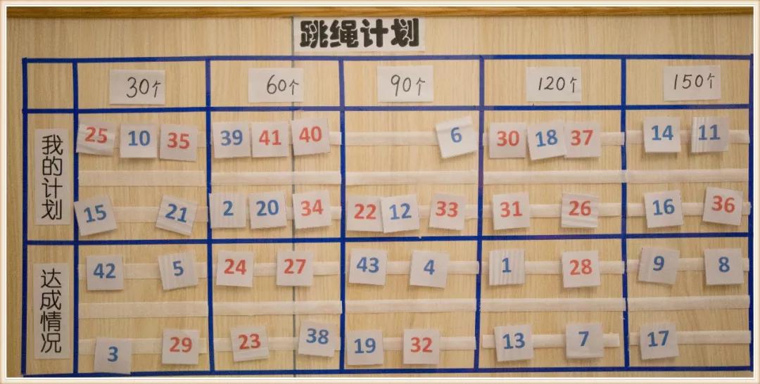 环境创设主题墙大班动物,可爱的小动物大班环境创设