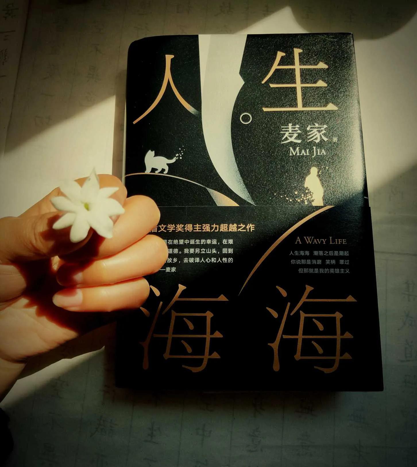 人生海海上校是太监吗,人生海海上校真的是太监吗