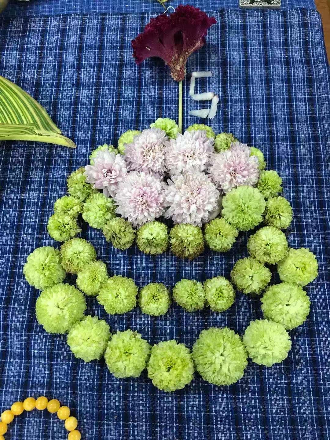 摆拍姿势大全植物,植物拍照摆拍图片大全